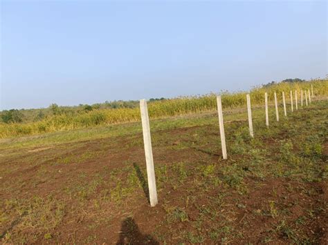 1 Ares Agricultural/Farm Land for Sale in Telangana - by DREAMS PLOT FAMILY