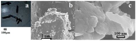 Analytica | An Open Access Journal from MDPI