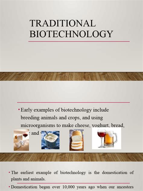 Traditional Biotechnology 的图像结果
