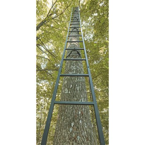 Image result for Lock Down Ladder Tree Stands