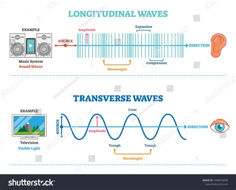 Are Sound Waves Longitudinal or Transverse
