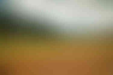 Travel to Phobjikha (Gangtey) Valley, Bhutan