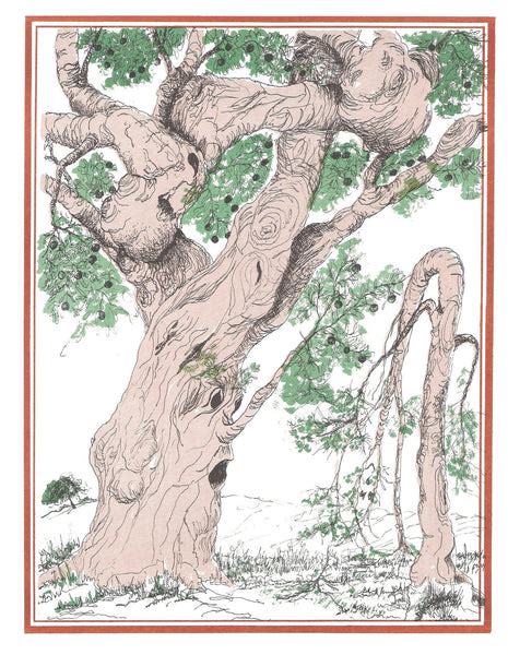 Image result for Parable Three Trees