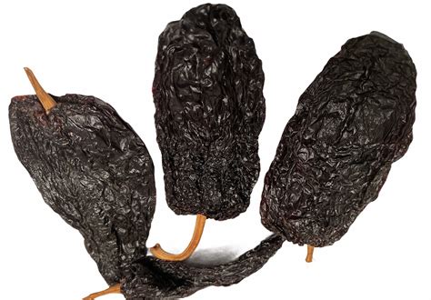 Dried Ancho Chili Recipe at Sammy Parra blog