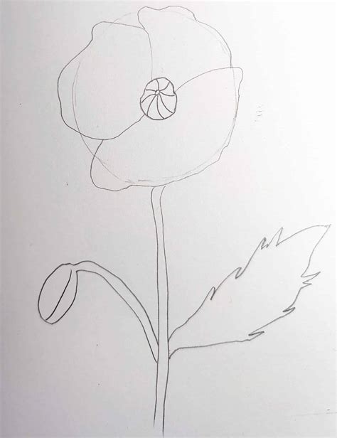 Image result for Easy Draw Poppy