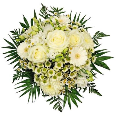 Nelly: Order Flowers Online | Interflora India | ID1357469
