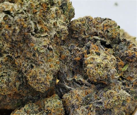 Cherry Haze - World Class Cannabis