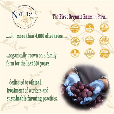 Organic Sun-Dried Peruvian Botija Olives | No salt added | Low Sodium ...