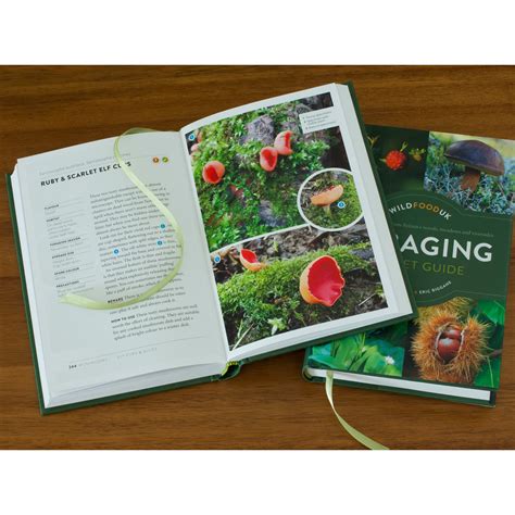 Image result for Foraging Guide