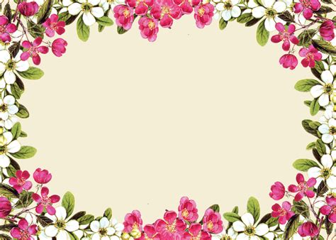 flower borders and frames - Clip Art Library