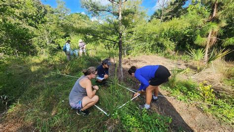 Adult Library Program - Landscaping with Native Plants, North ...