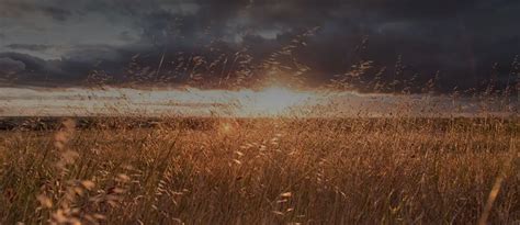 Shimon Funeral Home | Hartford, WI