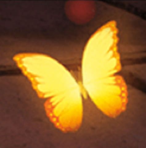 encanto butterfly svg