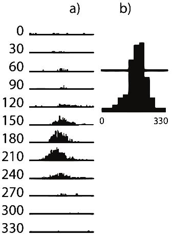 Post-Stimulus Time Histogram 的图像结果
