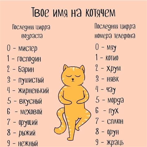 Лучшие клички для котов и кошек, подбор имен для мальчиков и девочек с ...