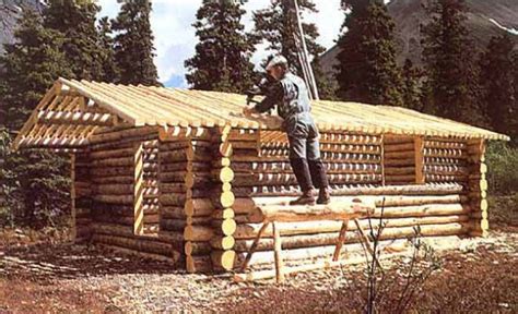 Log Cabin Building Process 的图像结果