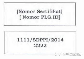 什么是印尼SDPPI认证？ - 知乎