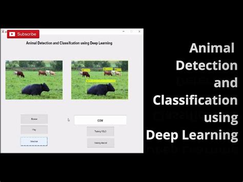 Deep Learning Model Animal Behvaior 的图像结果