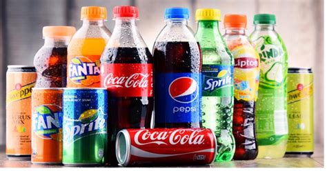 Home Science Project Class 12 的图像结果