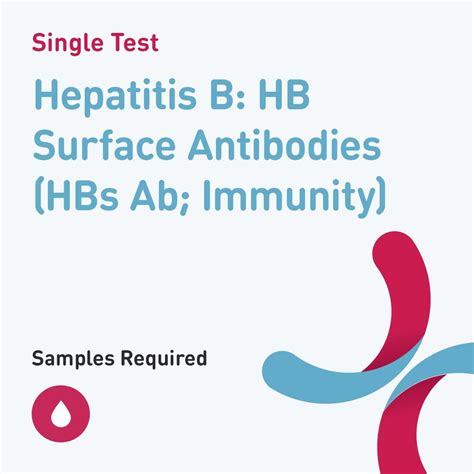 Antibody Hepatitis B Level at Margarita Teal blog