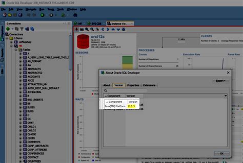 Image result for Java Oracle SQL Developer
