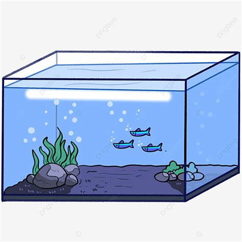 Aquarium Clipart Transparent Background, Aquarium Illustration ...