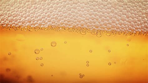 Contact — Dirty Couch Brewing