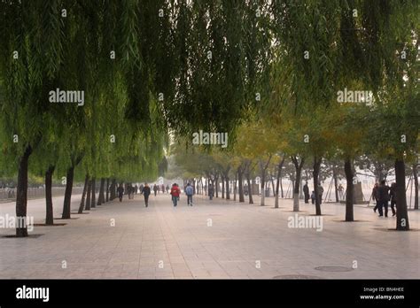 China Tiananmen Square 的图像结果