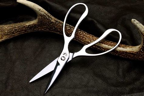 Empty Scissors: क्या खाली केंची चलाने से वाकई होती है लड़ाई, जानें क्या ...