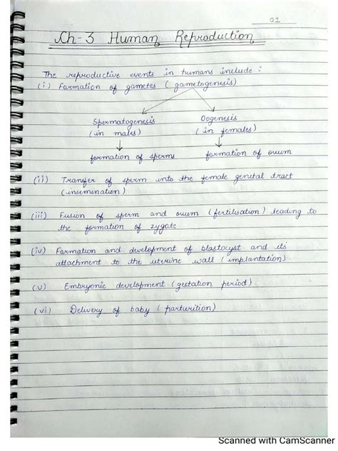 Image result for Isinamuva Human Reproduction Notes