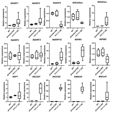 Screening Candidate Genes at the Co Locus Conferring to the Columnar ...