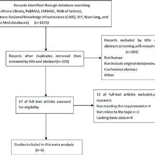 Electronic Database 的图像结果