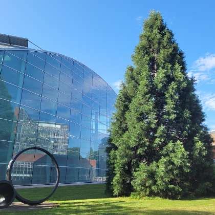 University of Cambridge Office Photos