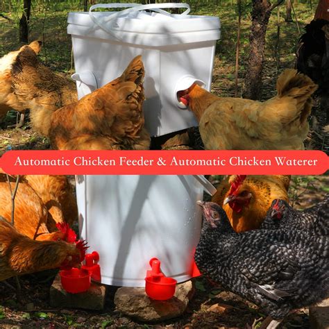TUZIER Chicken Feeder No Waste Automatic Poultry Feeder Ports Kit and ...