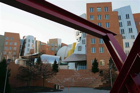 Best Pre-Med Schools for Future Doctors