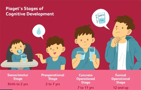 Which is not one of Piaget's stages of development?