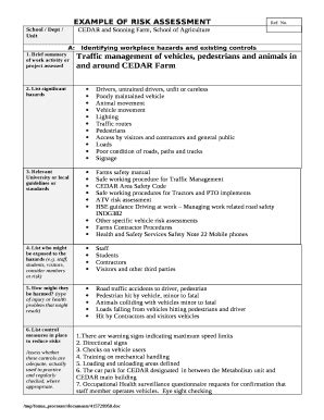 example of risk ASSESSMENT Doc Template | pdfFiller
