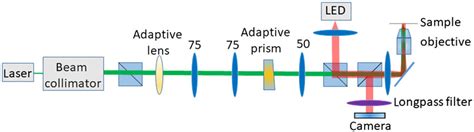 Image result for Scanning Objective Microscope