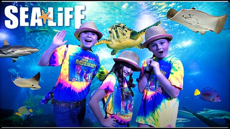 Sea Animals for Kids: Exploring the ANIMALS at the Sea Life Aquarium ...