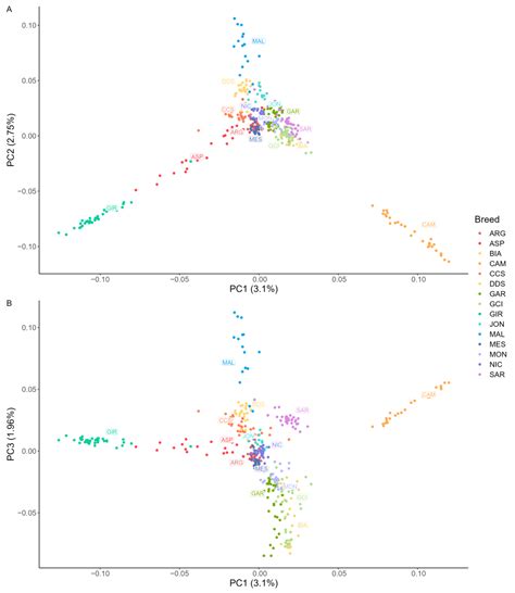 Phenotypic and Genomic Characterization of the Comune di Sicilia Goat ...