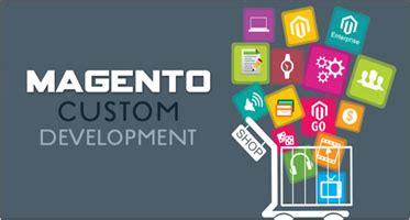 Custom Magento Development 的图像结果