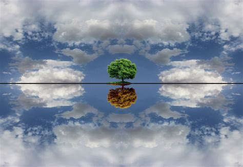 Parallel Reality Explained 的图像结果