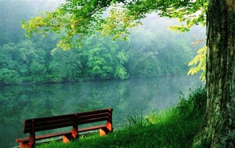 Quiet 的图像结果