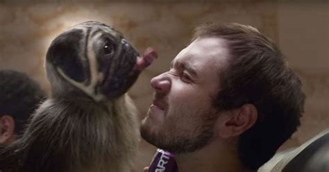 Puppy Monkey Baby Super Bowl Commercial 的图像结果