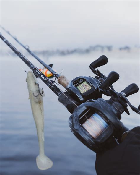 Image result for Catching Murray Cod On Lures Land-Based