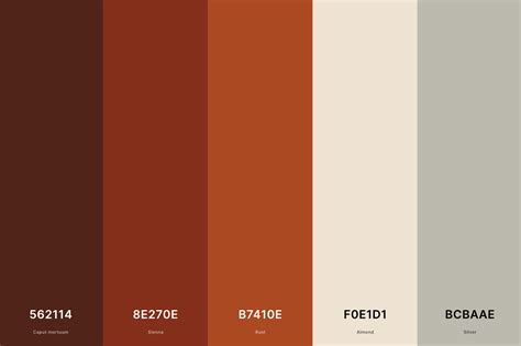 20 best terracotta color palettes with names and hex codes – Artofit