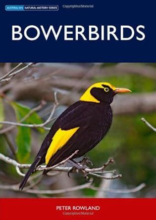 Buy Bowerbirds (Australian Natural History) Book Online at Low Prices ...