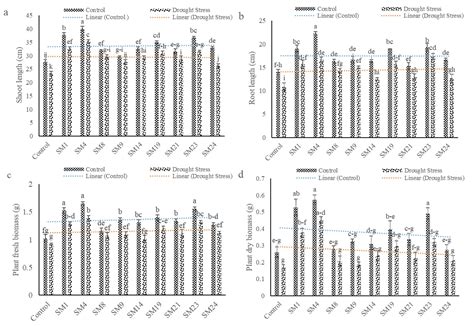 Exploring Potential of Seed Endophytic Bacteria for Enhancing Drought ...