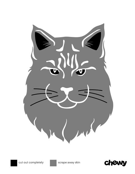 8 Purr-fectly Spooky Cat Pumpkin Carving Stencils | Chewy