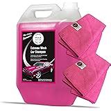Waxpol Ecosaver Car Shampoo Concentrate - 2.5 L (for Bucket, Foam ...